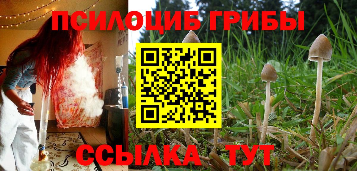 Галлюциногенные грибы MAGIC MUSHROOMS  Вход с VPN  Кумертау  Галлюциногенные грибы Cubensis 